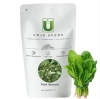 Urja Agriculture Palak Urja Green, Spinach Seeds, Rich Green-Colored Foliage