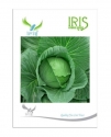 Iris Hybrid Vegetable Seeds Cabbage, Paat Gobhi Ke  Beej, Paata Gobhi Ke Beej.
