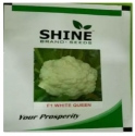 Cauliflower White Queen F1 - Shine Brand Seeds, Fool Gobhi, Kobhi Na Bee.  