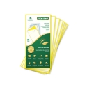 Gumtree Yellow Sticky Traps, Non-Pesticide & Eco Friendly Traps for Home Garden & Green House. No Dripping and No Drying