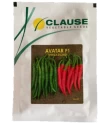Chilli Hybrid Seeds of HM.CLAUSE India Pvt.Ltd of HM.CLAUSE India Pvt.Ltd