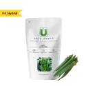 Okra Seeds of Urja Agriculture Company of Urja Agriculture Company