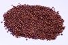 Hedge Lucerne Velimasal Grass Seed, For All Type Of Soils, Rich In Proteins
