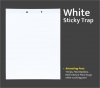 White Insect Sticky Trap for Thrips 220 MM X 280 MM, Red Mites and all Other Sucking Pests.