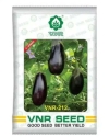 VNR Brinjal F1Hybrid VNR 212 Seeds, Dark Violet, Oblong Fruits with Purplish Calyx