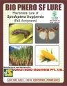 Sonkul Agro Industries BIO PHERO SF Spodoptera frugiperda (Fall Armyworm) Lure & Funnel Trap