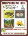 Spodoptera Frugiperda Trap & Lure of Sonkul Agro Industries of Sonkul Agro Industries
