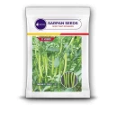 Sarpan F1 Hybrid 132 Chilli Seeds, Prolific Bearer with Yellow green and parrot green color