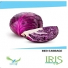 Iris Hybrid Vegetable Seeds Red Cabbage, For All Seasons, Balcony or Terrace Gardening