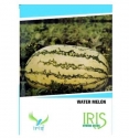 Iris Hybrid Watermelon Fruit Seeds, Light Green With Dark Green Stripes, High Germination