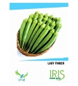 Iris Hybrid Vegetable Okra Seeds, Bhindi Ke Beej, Best For All Seasons With Good Germination (15 Seeds)