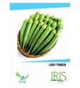 Okra Seeds of Iris Hybrid Pvt. of Iris Hybrid Pvt.