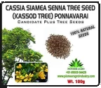 Natural Seeds of Pioneer Agro Industry of Pioneer Agro Industry