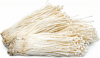 Enoki (Enokitake) (Flammulina Velutipes) Culture In Test Tube, 100% Clean, Active Mycelium