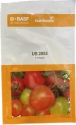 BASF Nunhems F1 Hybrid Tomato US 2853 Seeds, Flat Round Shape (3000 Seeds) 
