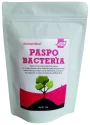 Phosphate Solubilizing Bacteria Powder of Pioneer Agro Industry of Pioneer Agro Industry