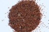 RK Seeds - Eucalyptus camaldulensis -Eucalyptus Seeds -Eucalyptus Camaldulensis, River Red Gum, Murray Red Gum, Red Gum, Eucalyptus Tree Seed