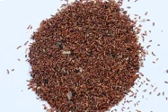 Eucalyptus Seeds of RK Nursery and of RK Nursery and