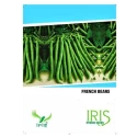 Bush Bean Seeds of Iris Hybrid Pvt. of Iris Hybrid Pvt.