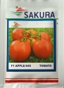 Tomato Apple 640 F1 Hybrid Sakura Seeds, Tamatar Ke Beej, Fruit Color is Uniform Red and Glossy