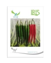 Chilli Hybrid Seeds of Iris Hybrid Pvt. of Iris Hybrid Pvt.