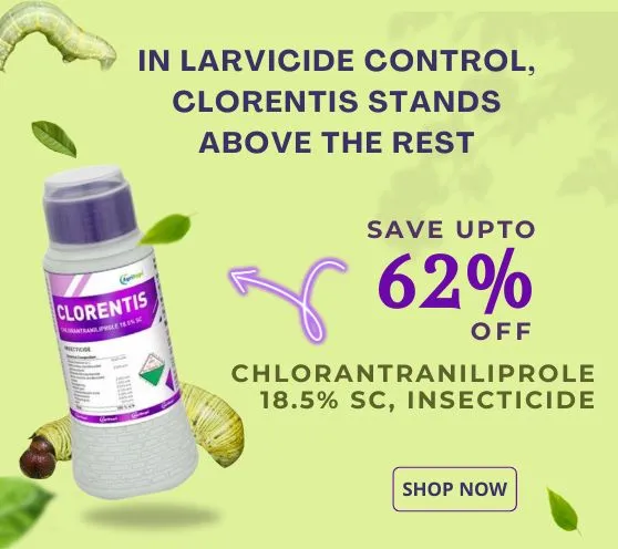 Chlorantraniliprole 18.5% SC,  Insecticide