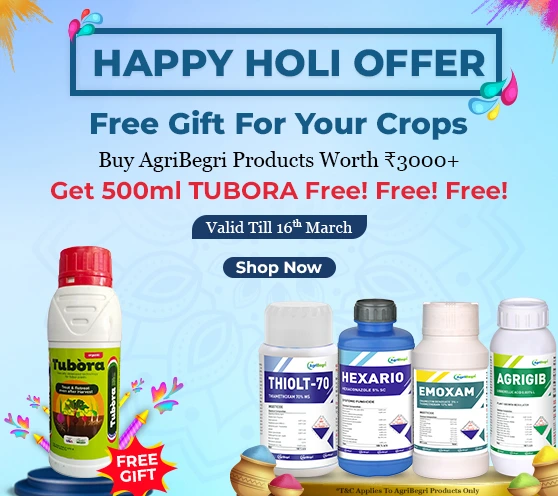 AgriBegri Holi Dhamaka: 500ml TUBORA Free!