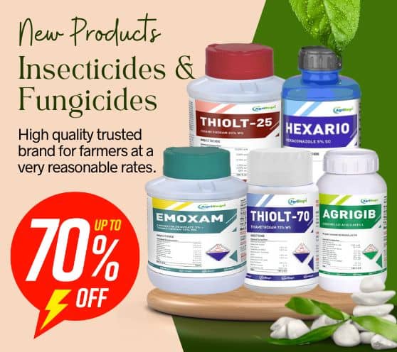 Agrbegri Insecticides