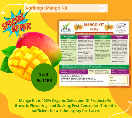 Organic Mango Kit