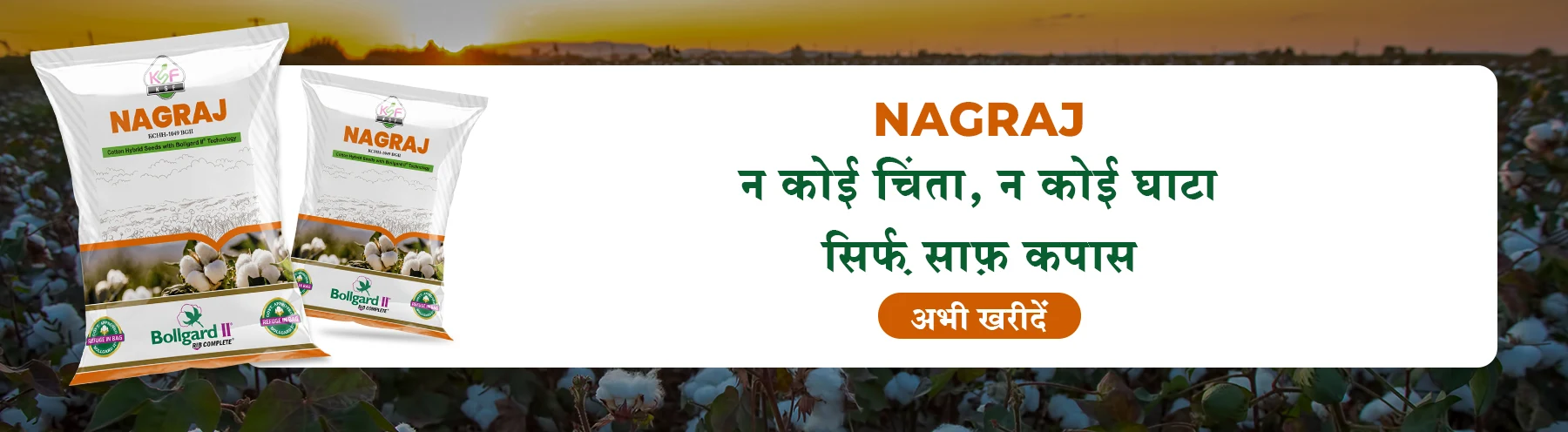 Nagraj BGII Cotton Seeds