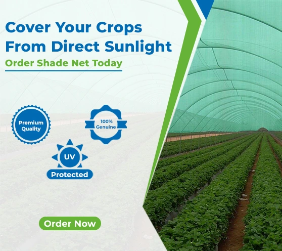 Cover Your crops from direct sunlight