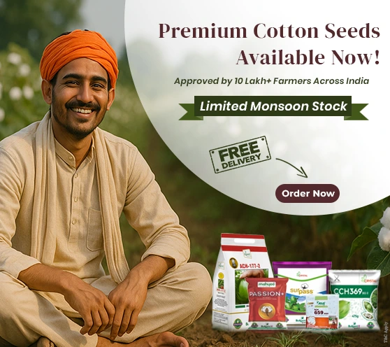 Cotton Seeds 2025 – All Varieties Promotional