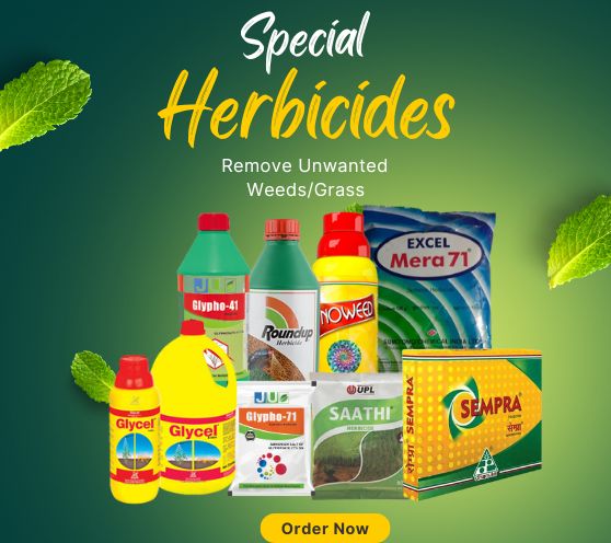 Special Herbicide Weedicides