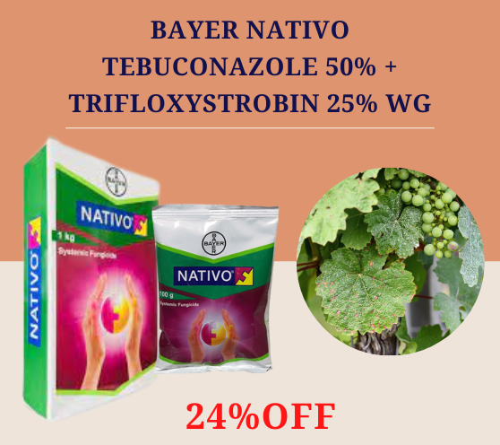 Bayer Nativo