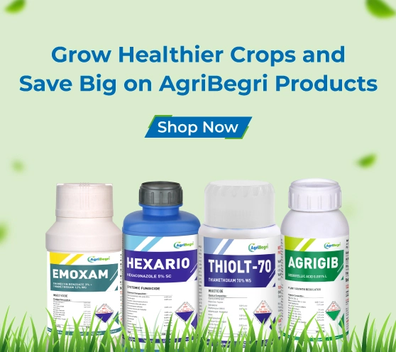 Agrbegri Insecticides