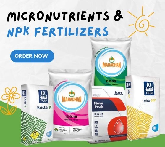 Micronutrients Fertilizer and NPK