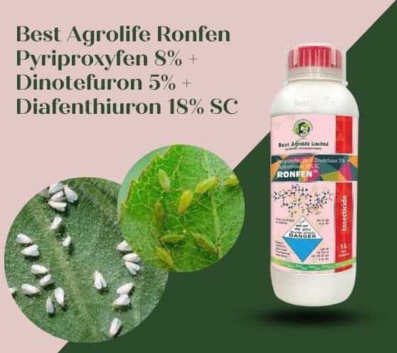 Best Agrolife Ronfen Pyriproxyfen 8% + Dinotefuron 5% + Diafenthiuron 18% SC