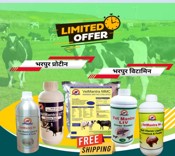 Cattle Care Products