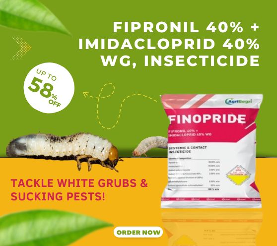 Fipronil 40% + Imidacloprid 40% WG ,Insecticide