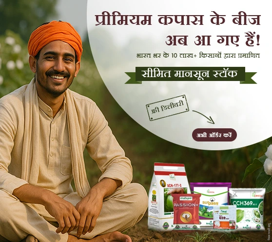 Cotton Seeds 2025 – All Varieties Promotional