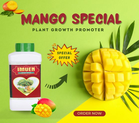 Immun Mango Special
