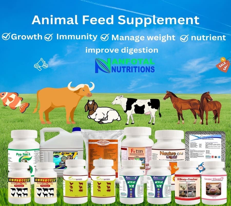 Animal Feed Supplements | Cattle Food