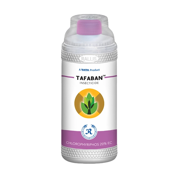 Tata Rallis Tafaban Chlorophyriphos 20% EC, Broad-Spectrum Contact And  Stomach Insecticide.