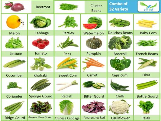 Buy Hybrid Vegetable Seeds Online | Combo Vegetable Seeds