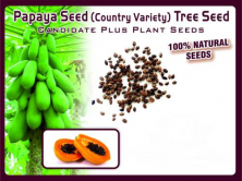 Papaya Fruit Seed