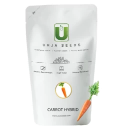 F1 Hybrid Carrot Seed